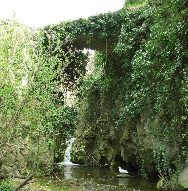 Habitacion De La Marquesa Alcoleja Eksteriør bilde