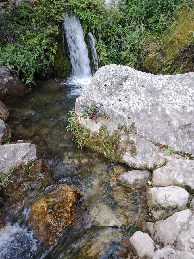Habitacion De La Marquesa Alcoleja Eksteriør bilde